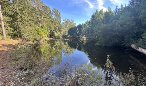 Photo #26 of SOLD property in 1133 Rockfish Drive, Manning, SC 1.5 acres