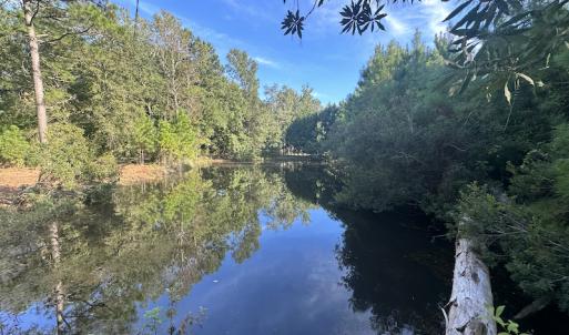 Photo #27 of SOLD property in 1133 Rockfish Drive, Manning, SC 1.5 acres