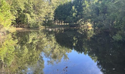 Photo #28 of SOLD property in 1133 Rockfish Drive, Manning, SC 1.5 acres
