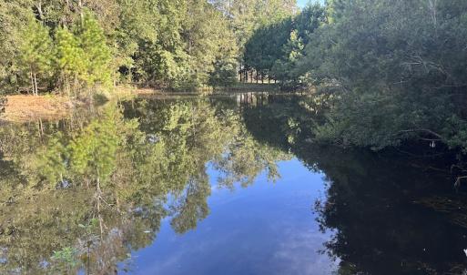 Photo #29 of SOLD property in 1133 Rockfish Drive, Manning, SC 1.5 acres