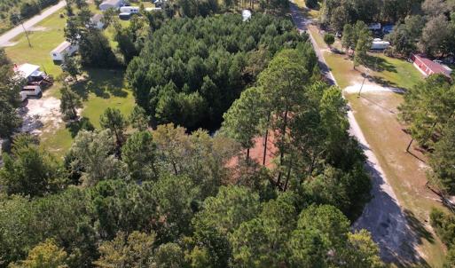 Photo #4 of SOLD property in 1133 Rockfish Drive, Manning, SC 1.5 acres