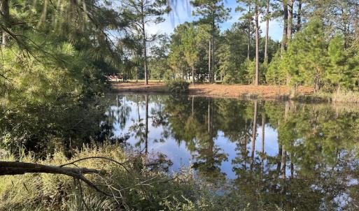 Photo #30 of SOLD property in 1133 Rockfish Drive, Manning, SC 1.5 acres