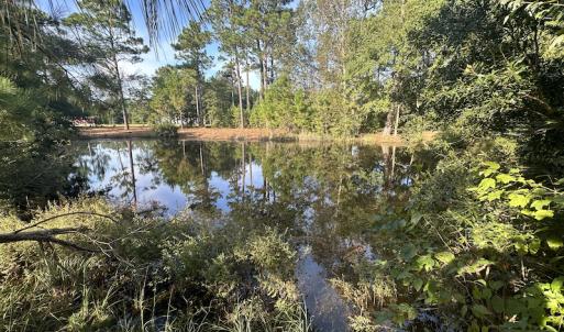 Photo #31 of SOLD property in 1133 Rockfish Drive, Manning, SC 1.5 acres