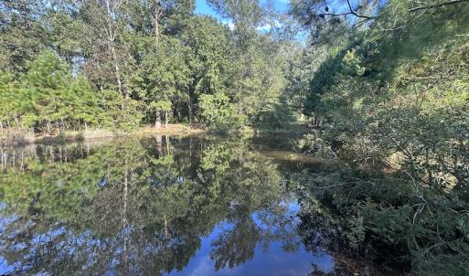 Photo #32 of SOLD property in 1133 Rockfish Drive, Manning, SC 1.5 acres