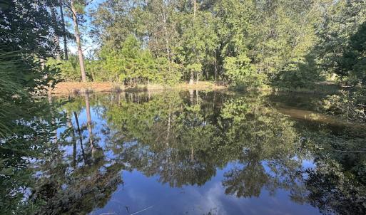 Photo #33 of SOLD property in 1133 Rockfish Drive, Manning, SC 1.5 acres