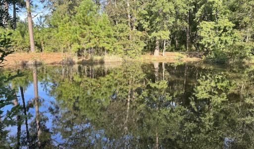 Photo #34 of SOLD property in 1133 Rockfish Drive, Manning, SC 1.5 acres