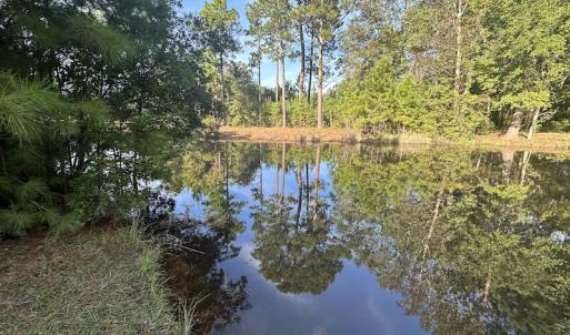 Photo #35 of SOLD property in 1133 Rockfish Drive, Manning, SC 1.5 acres