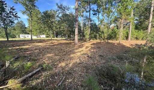 Photo #36 of SOLD property in 1133 Rockfish Drive, Manning, SC 1.5 acres