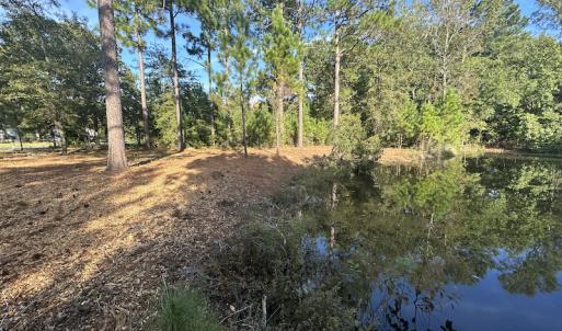 Photo #37 of SOLD property in 1133 Rockfish Drive, Manning, SC 1.5 acres