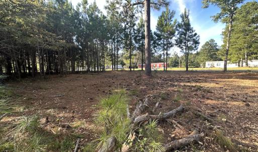Photo #38 of SOLD property in 1133 Rockfish Drive, Manning, SC 1.5 acres