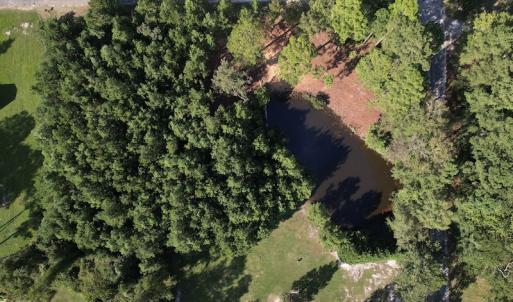 Photo #7 of SOLD property in 1133 Rockfish Drive, Manning, SC 1.5 acres