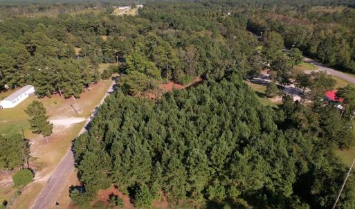 Photo #9 of SOLD property in 1133 Rockfish Drive, Manning, SC 1.5 acres