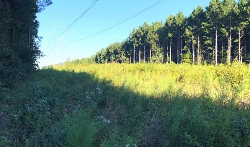 Photo #4 of Off Baxter Road, Disputanta, VA 25.0 acres