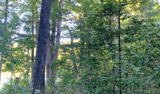 Photo #7 of Off Baxter Road, Disputanta, VA 25.0 acres