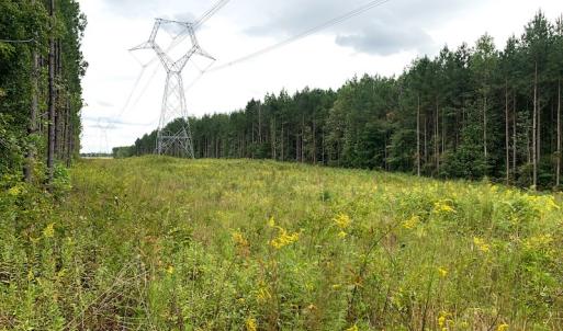 Photo #23 of Off Baxter Road, Disputanta, VA 25.0 acres