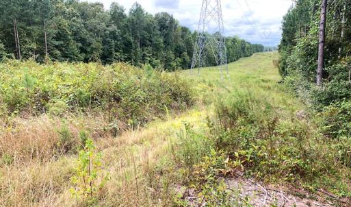 Photo #24 of Off Baxter Road, Disputanta, VA 25.0 acres