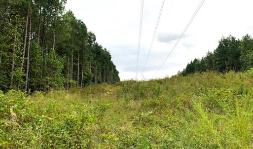 Photo #25 of Off Baxter Road, Disputanta, VA 25.0 acres