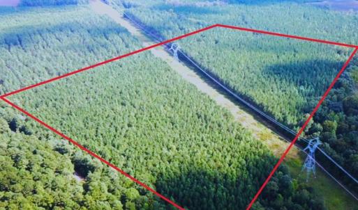 Photo #30 of Off Baxter Road, Disputanta, VA 25.0 acres