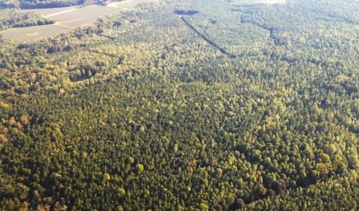 Photo #31 of Off Newville Road, Waverly, VA 150.0 acres