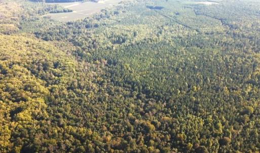 Photo #35 of SOLD property in Off Newville Road, Waverly, VA 150.0 acres