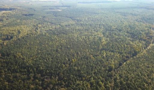 Photo #36 of Off Newville Road, Waverly, VA 150.0 acres