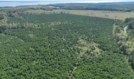 Photo #11 of 500 Indian Trail Road, Edenton, NC 963.8 acres