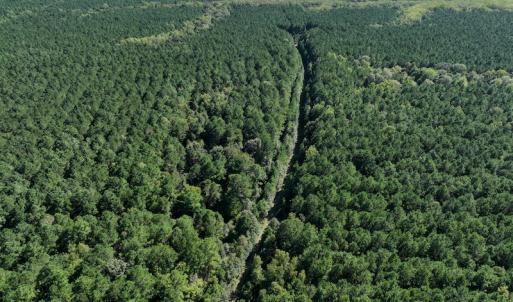 Photo #12 of 500 Indian Trail Road, Edenton, NC 963.8 acres
