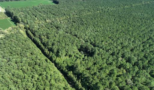 Photo #13 of 500 Indian Trail Road, Edenton, NC 963.8 acres