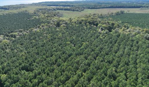 Photo #14 of 500 Indian Trail Road, Edenton, NC 963.8 acres