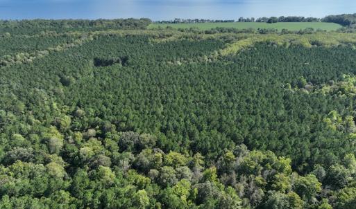 Photo #15 of 500 Indian Trail Road, Edenton, NC 963.8 acres