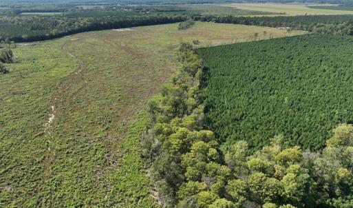 Photo #16 of 500 Indian Trail Road, Edenton, NC 963.8 acres