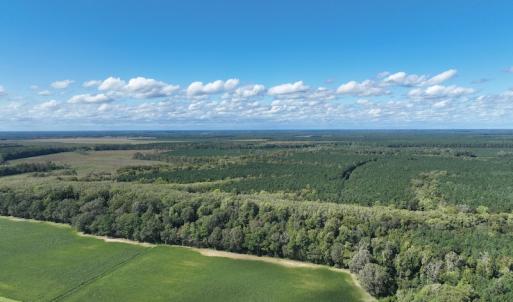 Photo #17 of 500 Indian Trail Road, Edenton, NC 963.8 acres
