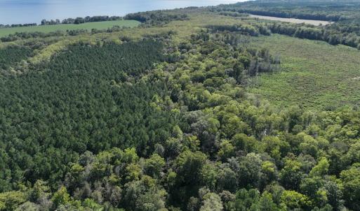 Photo #4 of 500 Indian Trail Road, Edenton, NC 963.8 acres