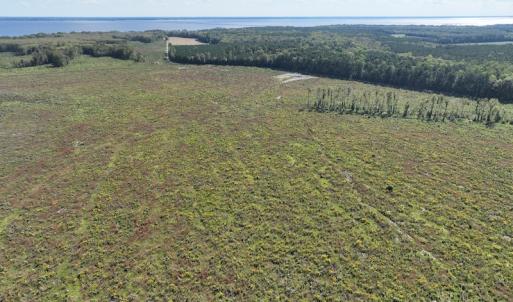 Photo #10 of 500 Indian Trail Road, Edenton, NC 963.8 acres
