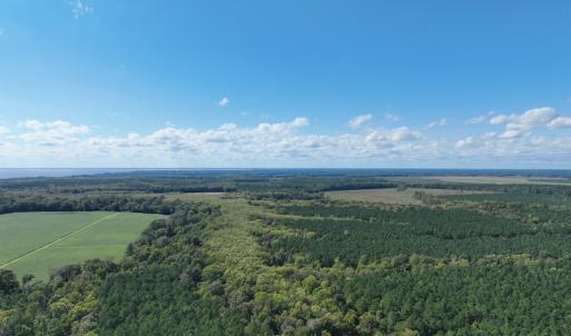 Photo #20 of 500 Indian Trail Road, Edenton, NC 963.8 acres