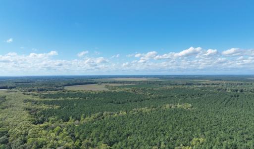 Photo #21 of 500 Indian Trail Road, Edenton, NC 963.8 acres