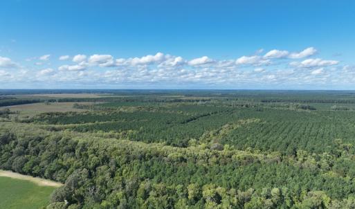 Photo #23 of 500 Indian Trail Road, Edenton, NC 963.8 acres
