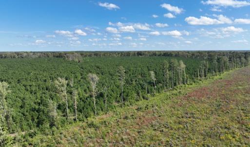 Photo #25 of 500 Indian Trail Road, Edenton, NC 963.8 acres
