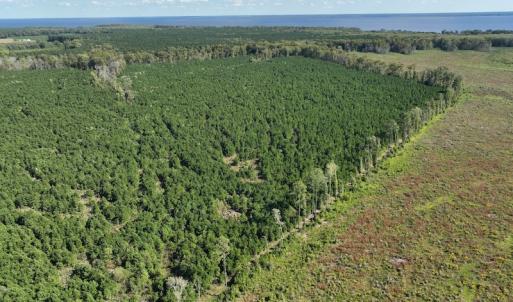 Photo #26 of 500 Indian Trail Road, Edenton, NC 963.8 acres