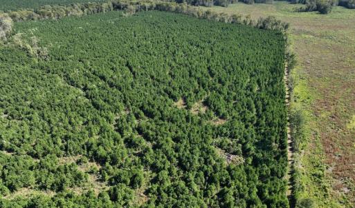 Photo #27 of 500 Indian Trail Road, Edenton, NC 963.8 acres