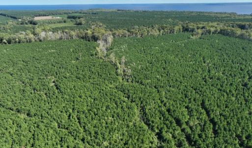 Photo #28 of 500 Indian Trail Road, Edenton, NC 963.8 acres