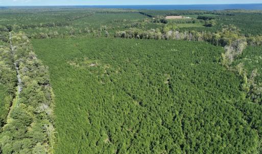 Photo #29 of 500 Indian Trail Road, Edenton, NC 963.8 acres