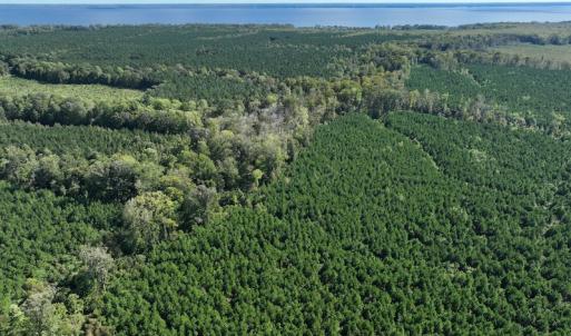 Photo #30 of 500 Indian Trail Road, Edenton, NC 963.8 acres