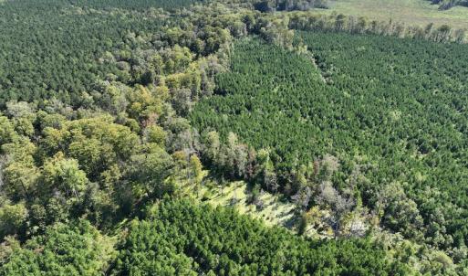 Photo #31 of 500 Indian Trail Road, Edenton, NC 963.8 acres