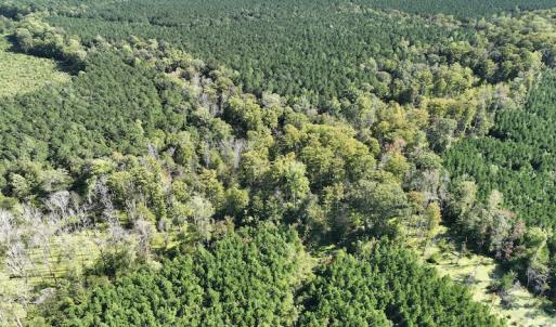 Photo #32 of 500 Indian Trail Road, Edenton, NC 963.8 acres