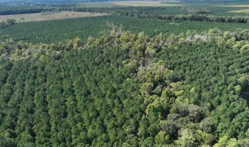 Photo #33 of 500 Indian Trail Road, Edenton, NC 963.8 acres
