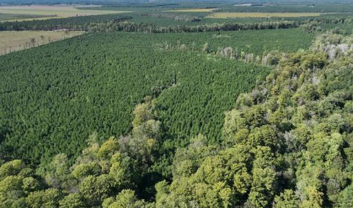 Photo #34 of 500 Indian Trail Road, Edenton, NC 963.8 acres