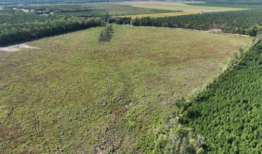 Photo #35 of 500 Indian Trail Road, Edenton, NC 963.8 acres