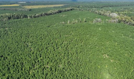 Photo #36 of 500 Indian Trail Road, Edenton, NC 963.8 acres