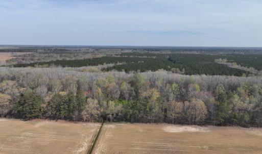 Photo #40 of 500 Indian Trail Road, Edenton, NC 963.8 acres